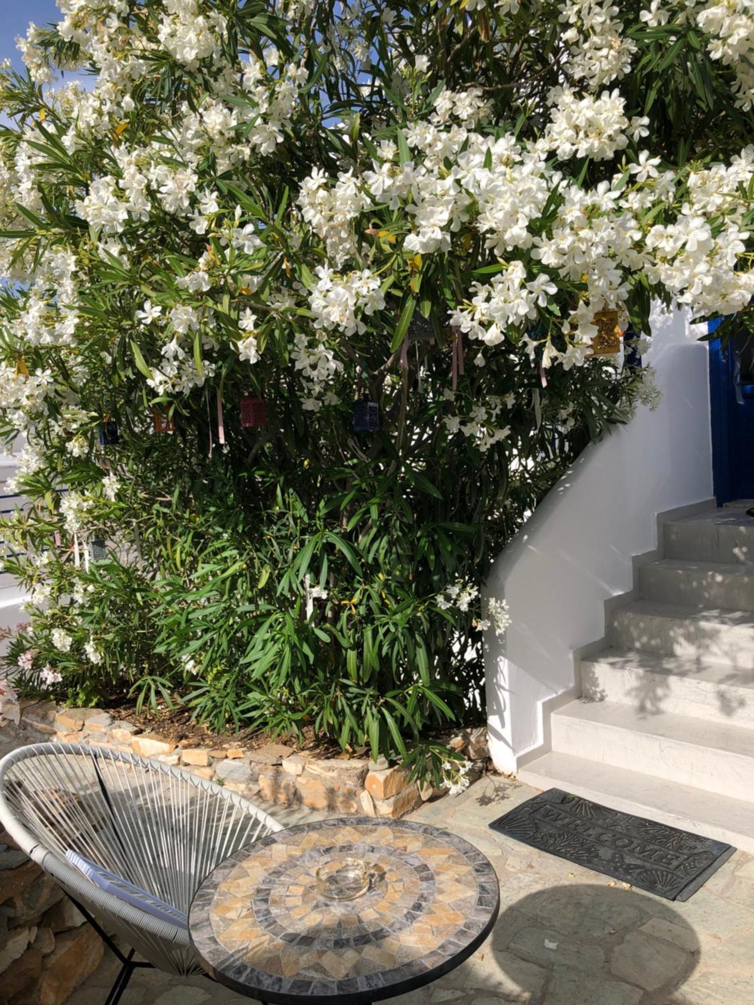 Vrahos Rooms - Studios Alopronia المظهر الخارجي الصورة